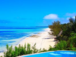 Passer ses vacances de rêve  en Tanzanie pour les amateurs du safari